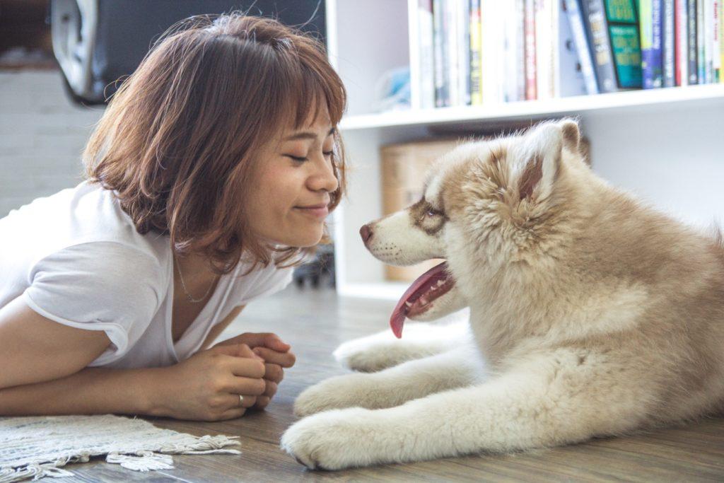 400 китайских имен для собак и кошек - громкие и красивые клички для домашних животных
