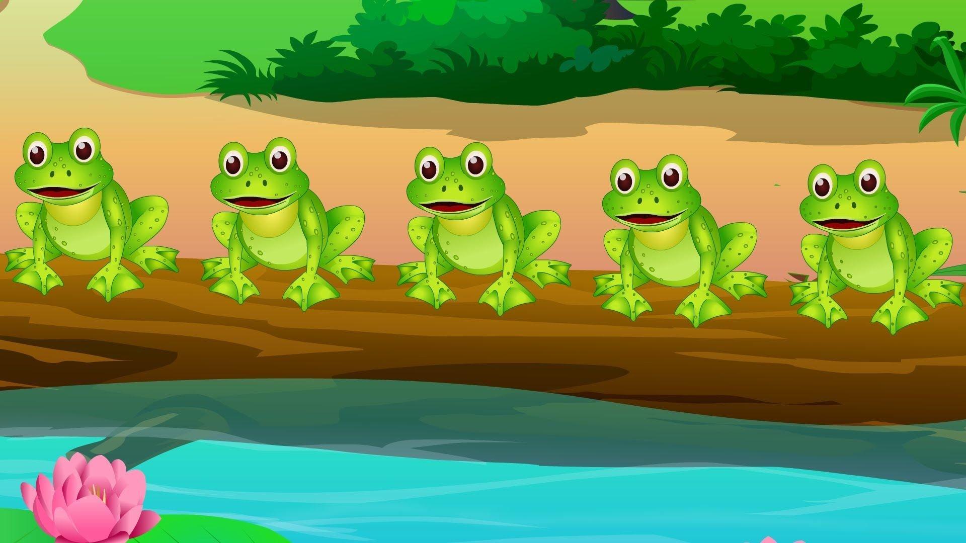 Имена лягушек и жаб: 200 идей как назвать красивых лягушек и жаб