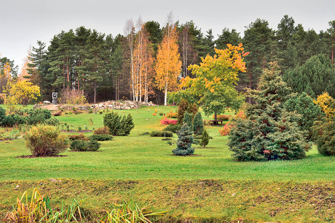 Ботанический сад Петрозаводского государственного университета