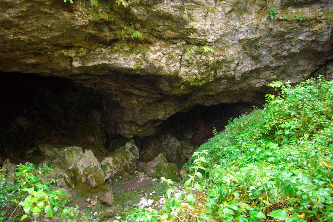 Пещера деда