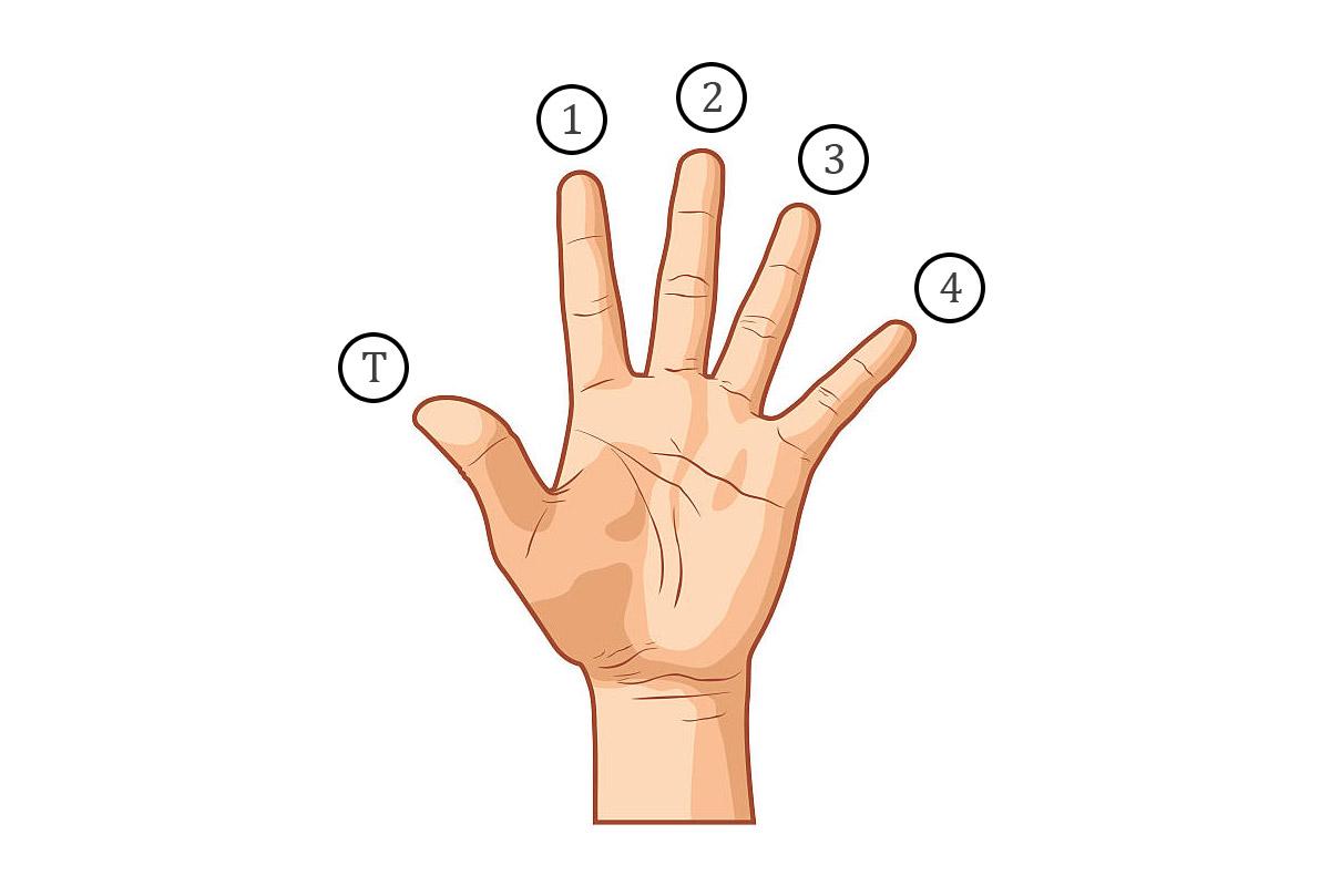 Нумерация пальцев