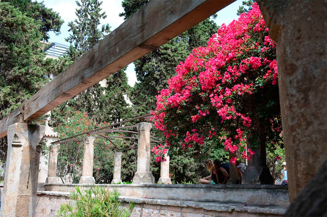 Ботанический сад Харди-дель-Бисбе
