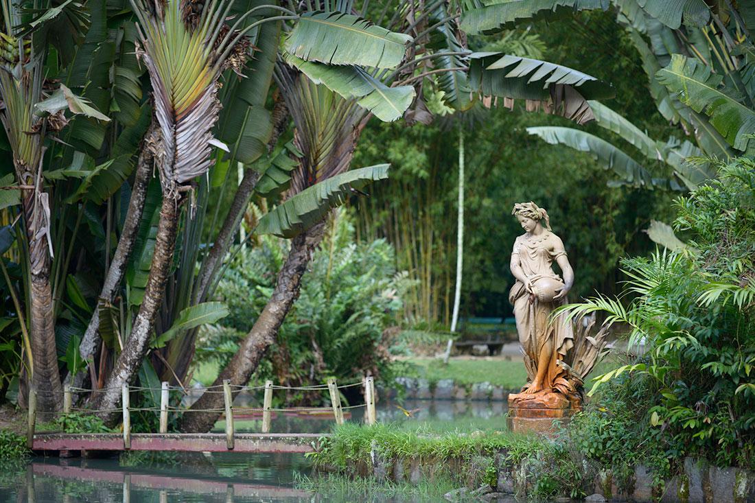 Ботанический сад 'Jardim Botanico'
