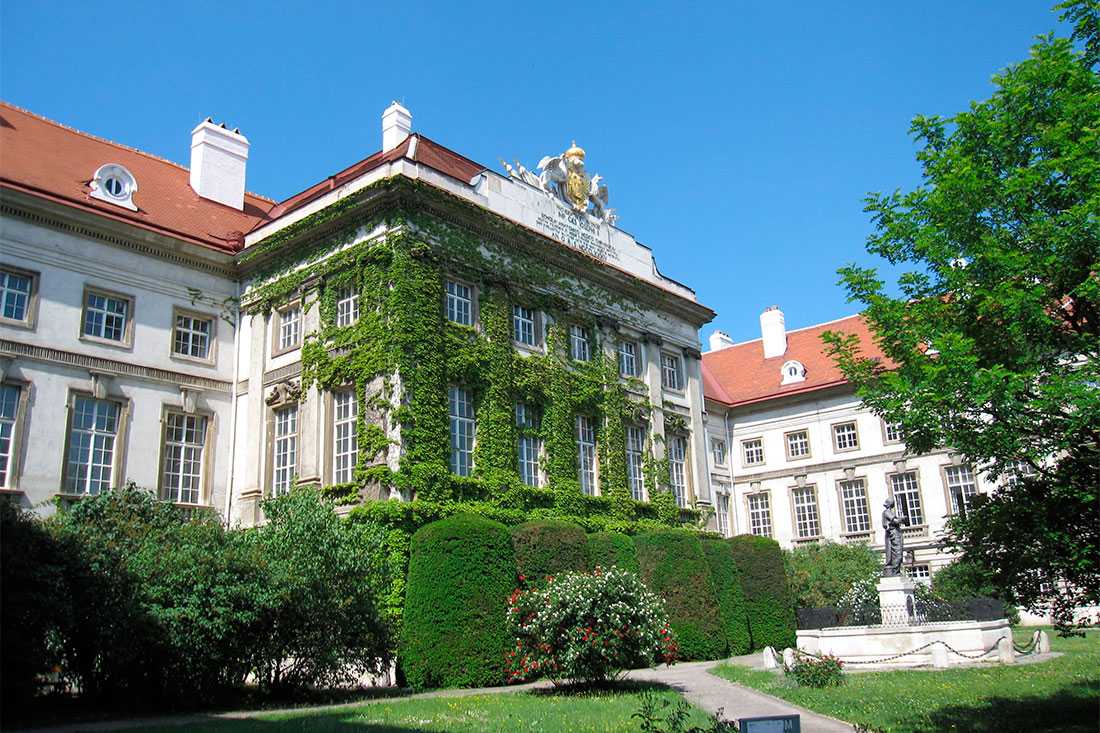Венская академия медицины и хирургии