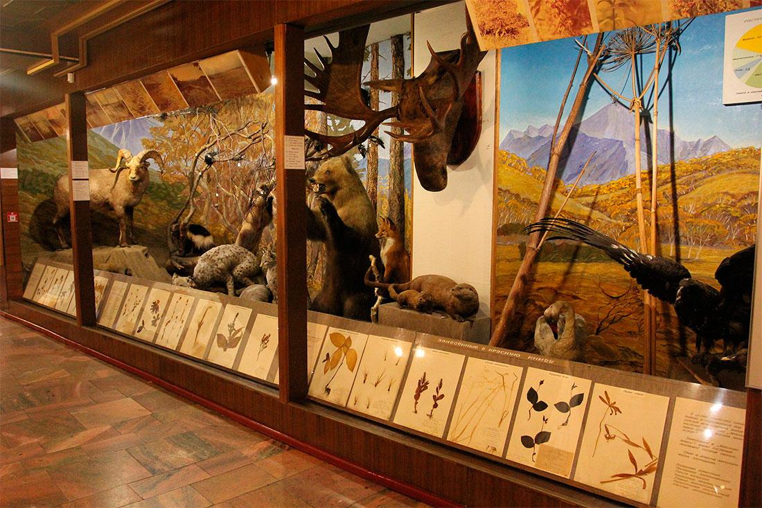 Камчатский областной краеведческий музей