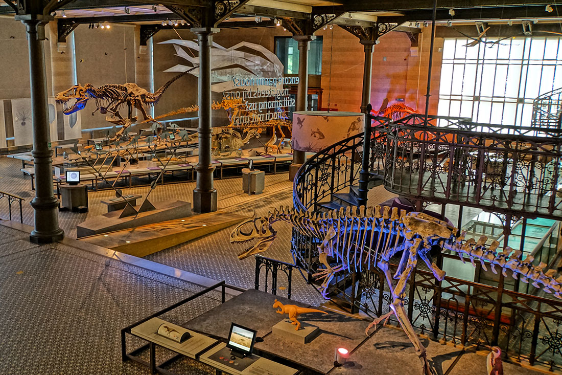 Музей естественных наук