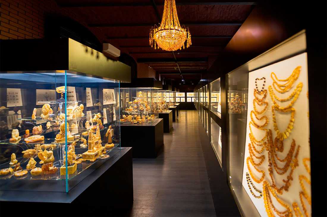 Музей янтарных растений