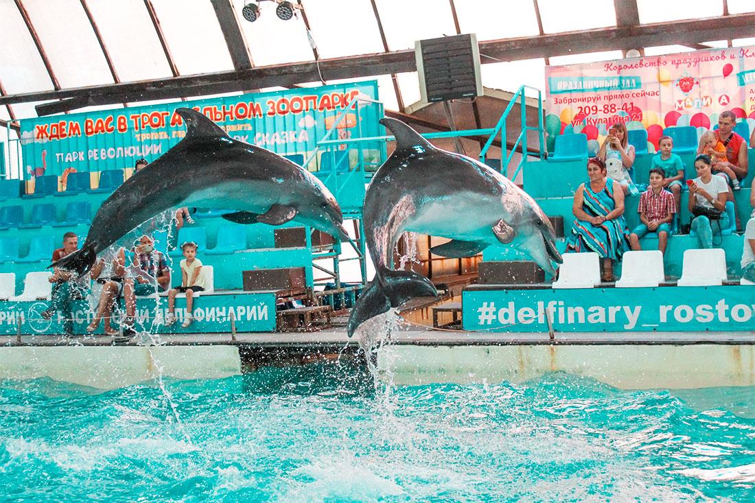 Ростовский дельфинарий