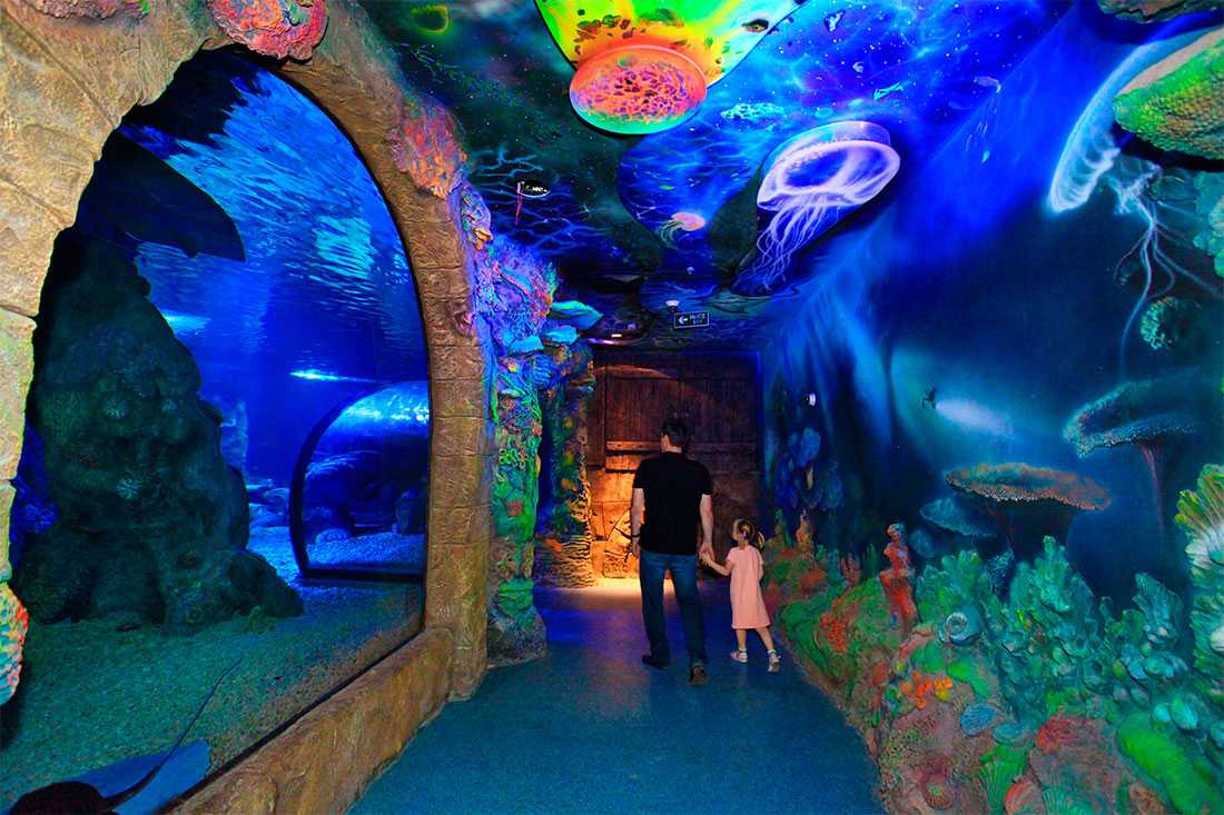 Севастопольский морской аквариум-музей.
