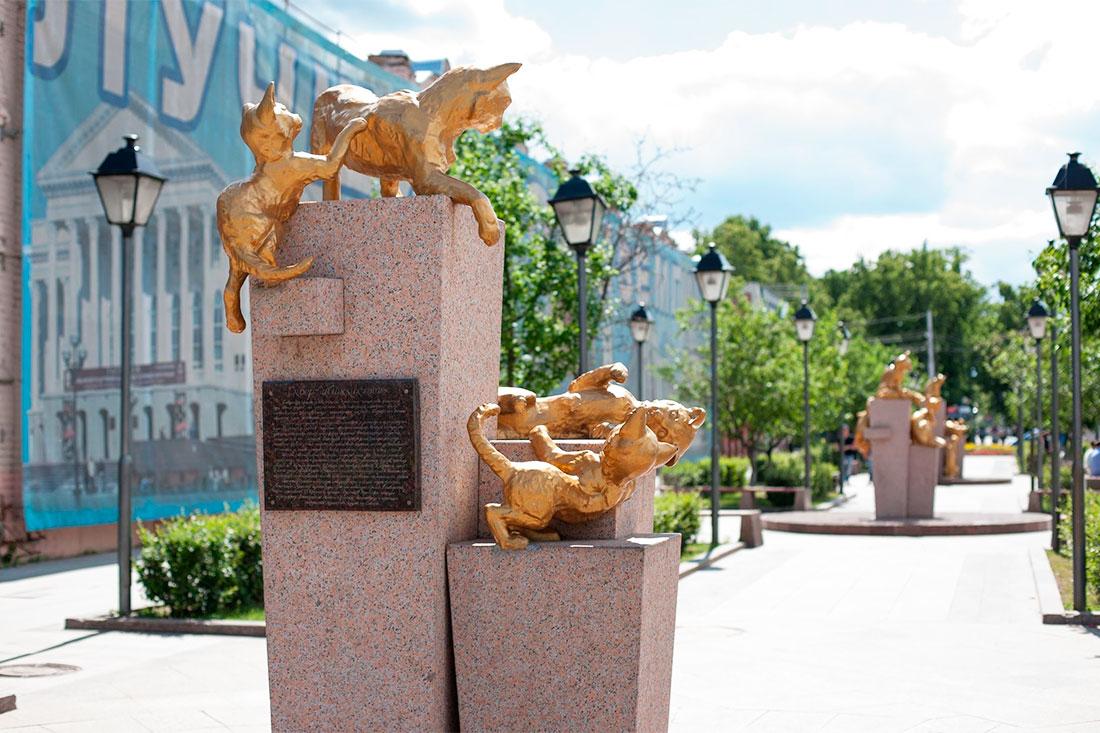 Площадь сибирской кошки