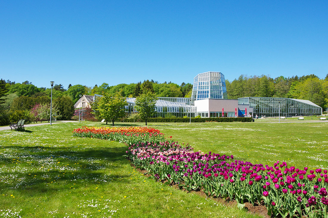 Таллиннский ботанический сад