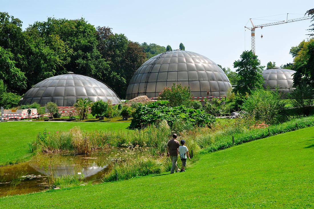 Ботанический сад Цюрихского университета