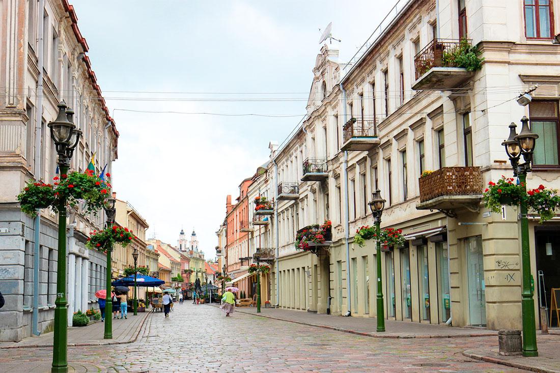 Вильнюсская улица