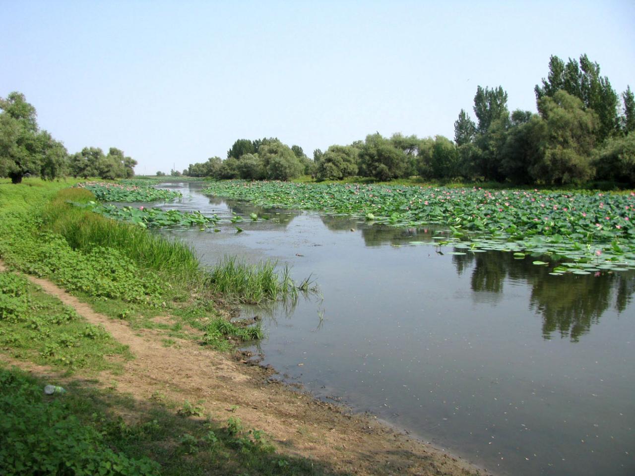 Топ-15 крупнейших рек Астраханской области
