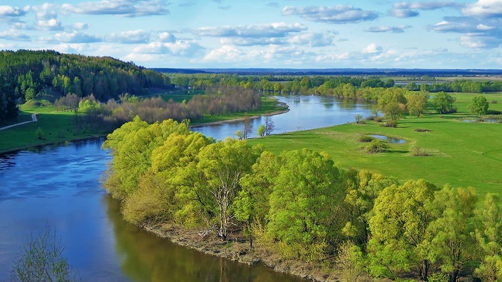 Топ-25 крупнейших рек Брянской области