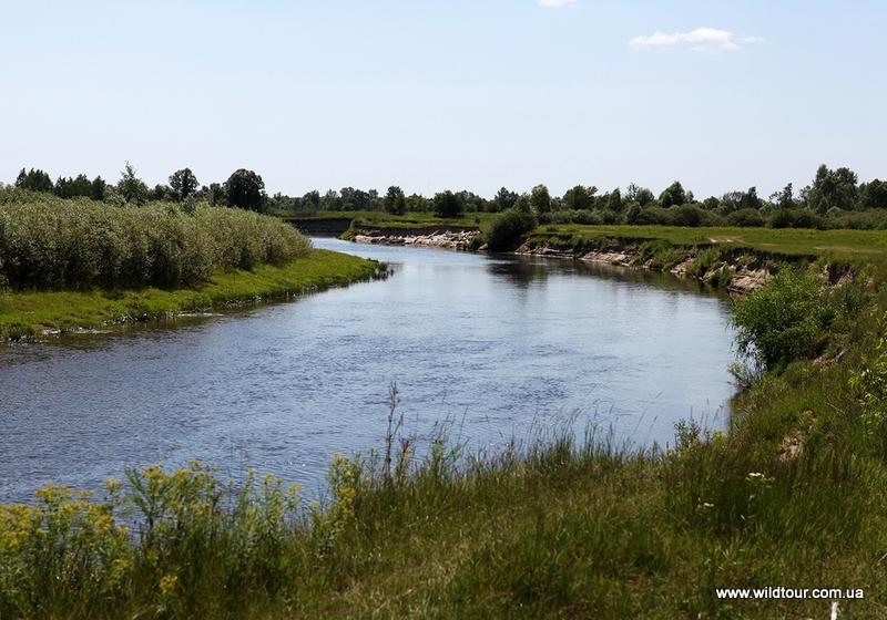 Топ-25 крупнейших рек Брянской области