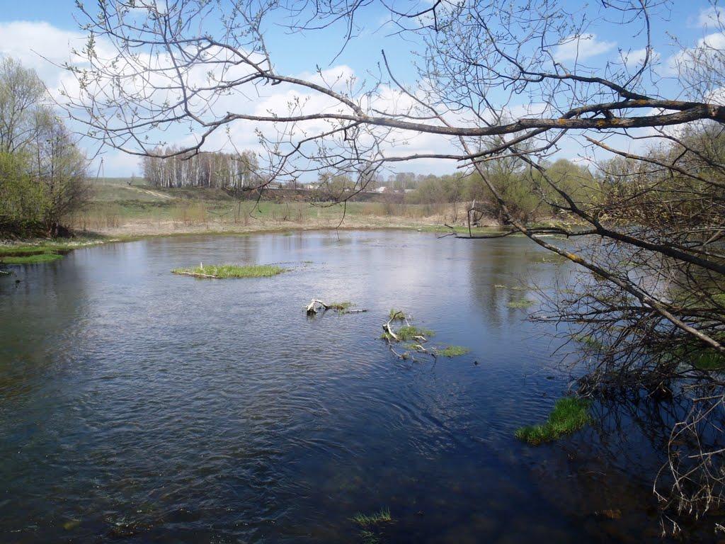 Топ-25 крупнейших рек Калужской области