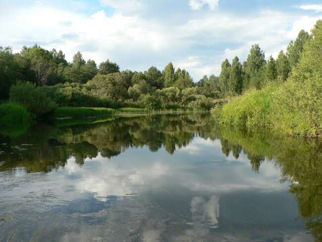 Вершина самой большой реки в Костромской области 35