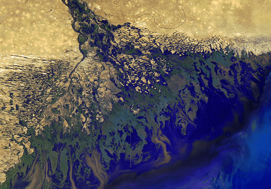 Куда течет Волга: где находятся устья, карты и фотографии